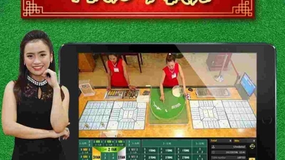 Fantan - Tổng hợp những mẹo chơi game dễ thắng