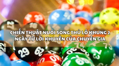 Đổi đời khi chơi song thủ lô nuôi khung 2 ngày cùng chuyên gia