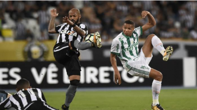 Nhận định, soi kèo Botafogo vs Palmeiras lúc 00h00 ngày 24/05/2024